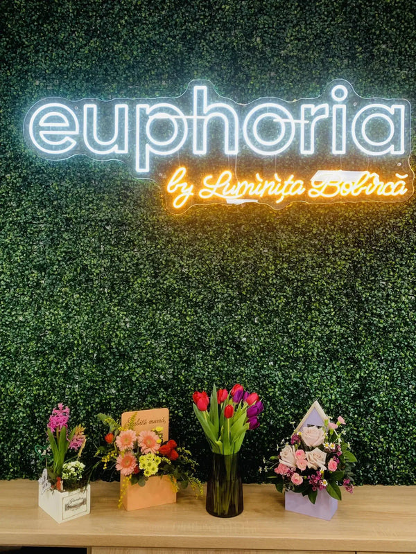 Euphoria by Luminița